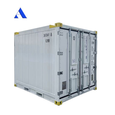 10 pies DNV 2.7-1 Contenedor estándar congelador congelado en alta mar refrigeración Reefer con certificado CSC y ángulo de la pierna de la honda Max 45 grados