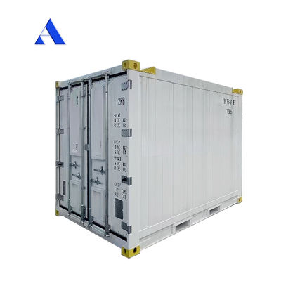 10 pies DNV 2.7-1 Contenedor estándar congelador congelado en alta mar refrigeración Reefer con certificado CSC y ángulo de la pierna de la honda Max 45 grados