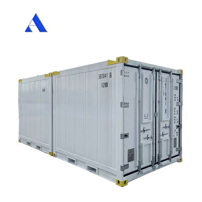 10 pies DNV 2.7-1 Contenedor estándar congelador congelado en alta mar refrigeración Reefer con certificado CSC y ángulo de la pierna de la honda Max 45 grados