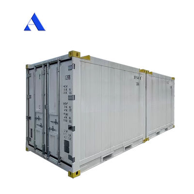 10 pies DNV 2.7-1 Contenedor estándar congelador congelado en alta mar refrigeración Reefer con certificado CSC y ángulo de la pierna de la honda Max 45 grados