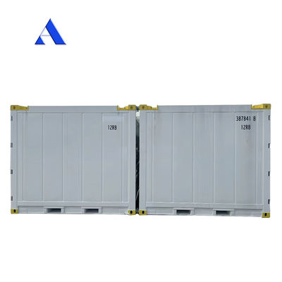 10 pies DNV 2.7-1 Contenedor estándar congelador congelado en alta mar refrigeración Reefer con certificado CSC y ángulo de la pierna de la honda Max 45 grados