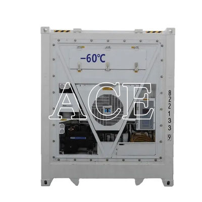 Refrigerador de 40 pies para almacenar atún fresco