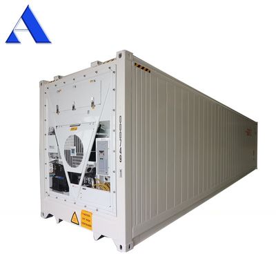 Refrigerador de 40 pies para almacenar atún fresco
