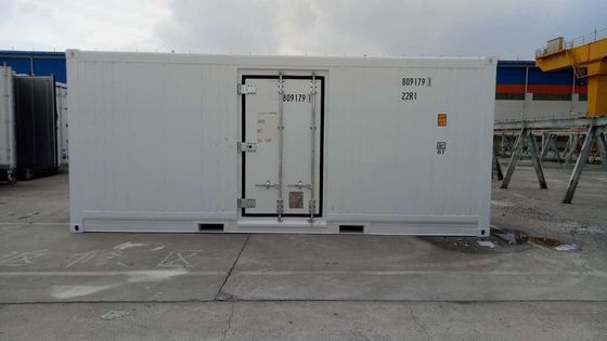 Carrier Cooler 20ft Reefer Container con puerta lateral de aluminio de fondo Termo Rey congelador refrigerado