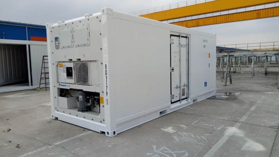 Carrier Cooler 20ft Reefer Container con puerta lateral de aluminio de fondo Termo Rey congelador refrigerado