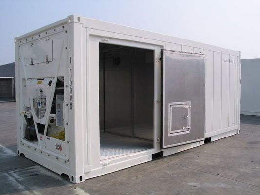 Carrier Cooler 20ft Reefer Container con puerta lateral de aluminio de fondo Termo Rey congelador refrigerado