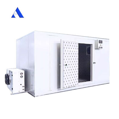 Acero inoxidable Pared interior 40ft x 20ft refrigerador de doble temperatura y congelador Contenedor Sala de frío para almacenamiento Contenedor Reefer