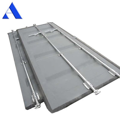 Panel de puerta de contenedor de carga seca de 20 pies con diseño personalizable y sigue la demanda del cliente
