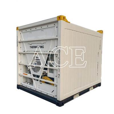 Contenedor refrigerado en alta mar de 10 pies Certificados CSC/BV hechos de acero y aluminio con suelo de barra T de aluminio