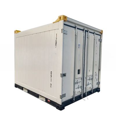 Contenedor refrigerado en alta mar de 10 pies Certificados CSC/BV hechos de acero y aluminio con suelo de barra T de aluminio