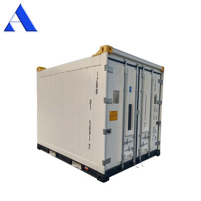 Contenedor refrigerado en alta mar de 10 pies Certificados CSC/BV hechos de acero y aluminio con suelo de barra T de aluminio