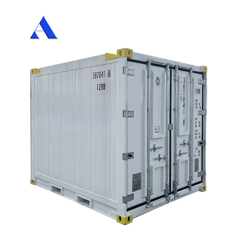 10 pies DNV 2.7-1 Contenedor estándar congelador congelado en alta mar refrigeración Reefer con certificado CSC y ángulo de la pierna de la honda Max 45 grados