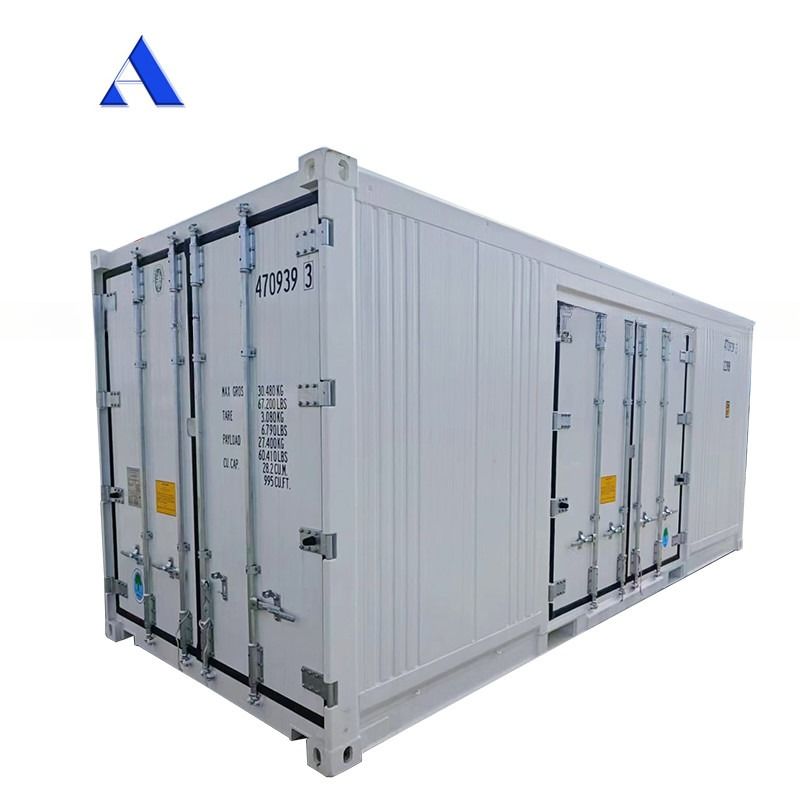 Carrier Cooler 20ft Reefer Container con puerta lateral de aluminio de fondo Termo Rey congelador refrigerado