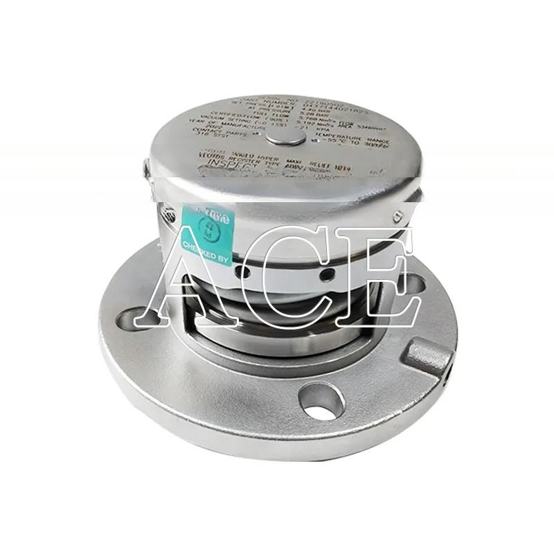 Válvula de seguridad de alivio de presión con brida de acero inoxidable de 2,5' BSP para válvulas de liberación de vacío de aire en piezas de contenedores de tanques ISO